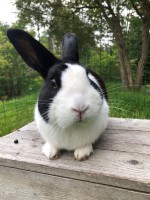 /album/tarna/img-7105-jpg/