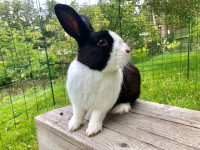 /album/tarna/img-7109-jpg/